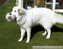 Muriel_200803_2