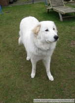 Muriel_200803_3