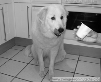 Muriel_200804_1