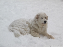 Naila_20090119_1