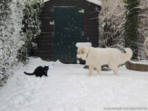 Naila_20090119_2