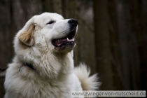Naila_20100403_1
