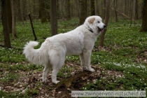 Naila_20100403_2