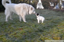 Naila_20140203