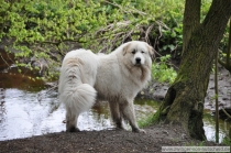 Noel_20100513_1