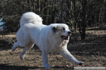 Noel_20110318_1