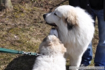 Noel_20130407-1