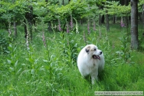 Noel_20140531