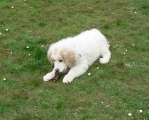 Ophelia_20100425_2