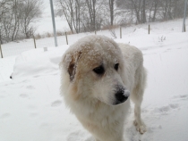 Oxana (genannt Enya)_20121207
