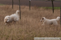 Pauline im Februar 2012