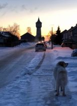 Quain-genannt-Pastou_20190204-1