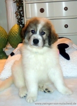 Quinto (genannt Amando) im Dezember 2012