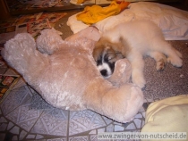 Quirina im Dezember 2012