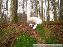 Quirina im Dezember 2012