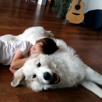 Tamino im Juni 2016