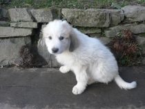 Tana im Dezember 2015