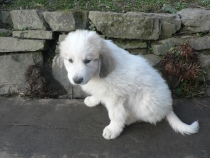 Tana im Dezember 2015