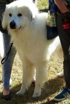 Tana und Tavis im Oktober 2016