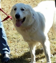 Tana und Tavis im Oktober 2016