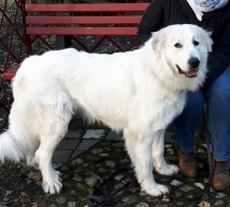 Tana im Februar 2017