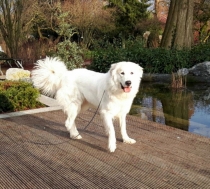 Tana im Februar 2017