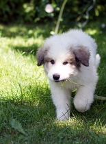 Ulysses im Juli 2017