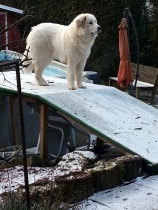 Undine im Februar 2018