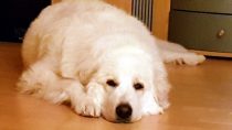 Unica im Dezember 2018
