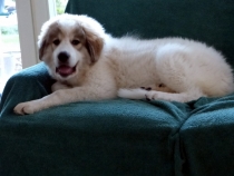 Uvale im August 2017