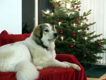 Uvale im Dezember 2017