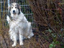 Uvale im Dezember 2018