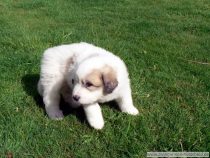 V-Wurf-2019_20190504-8