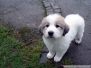 Wilma